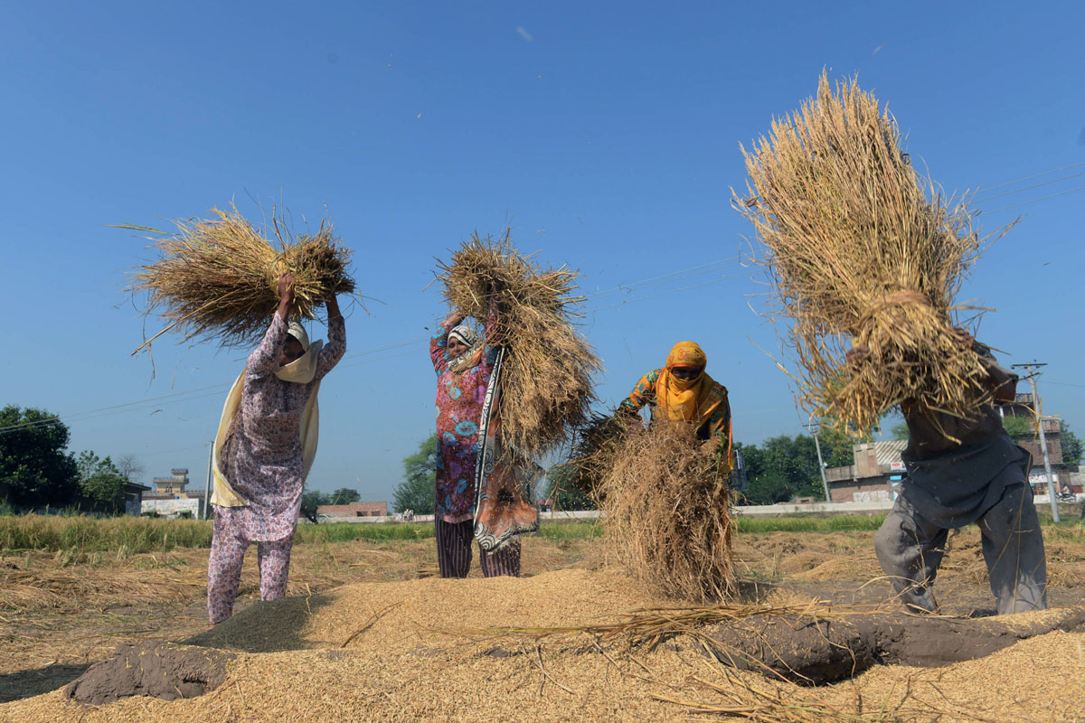 pm approves building colony at national agriculture research council s land photo afp