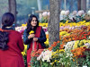 exhibit turns bank road into flower corridor exhibit turns bank road into flower corridor