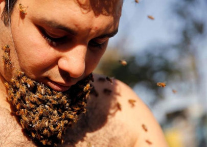 egyptian man grows beard of bees hopes to promote apian benefits