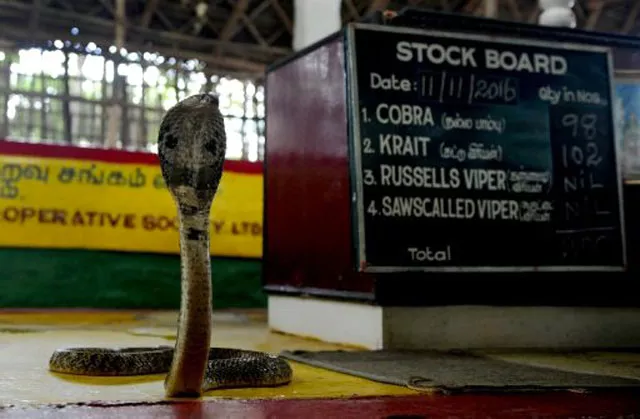 photo afp photo afp