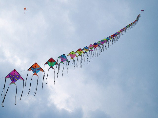 contradictory statement basant lovers left dazed and confused