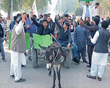 demands not met doctors ride donkey carts in protest demands not met doctors ride donkey carts in protest