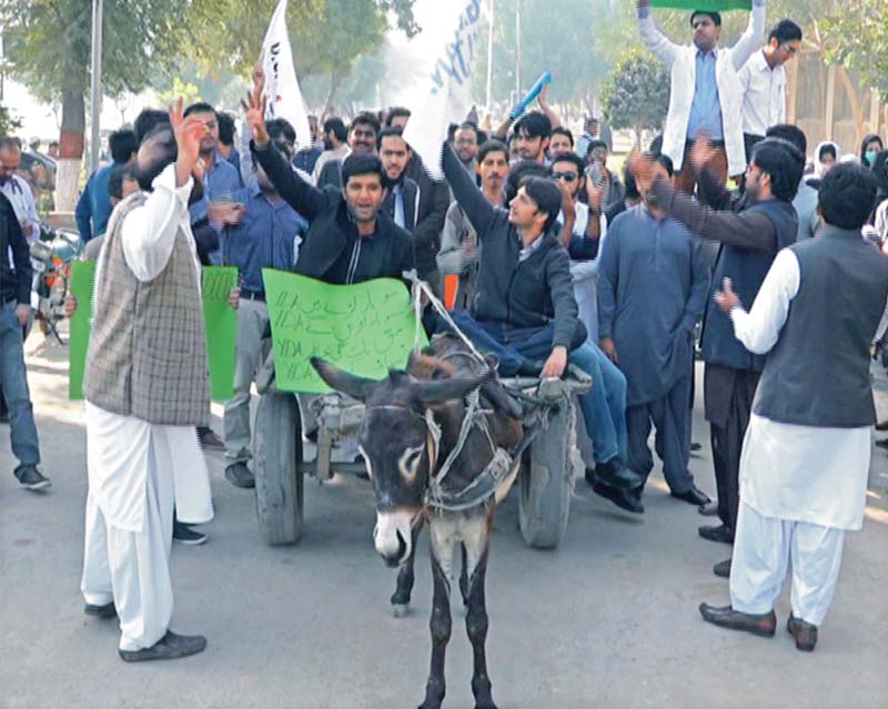 demands not met doctors ride donkey carts in protest