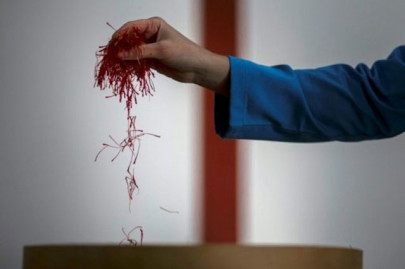 saffron rural spain s crisis beating spice