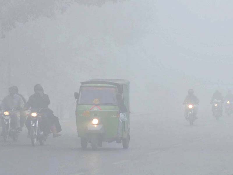 motorists drive through a thick blanket of fog early in the morning photo app