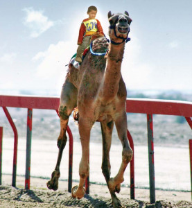 12 year old camel jockey s father recounts his child s sufferings 12 year old camel jockey s father recounts his child s sufferings