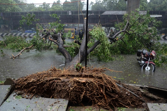 in this photograph taken on december 12 2016 indian bystanders look at a tree that fell across a street in chennai photo afp