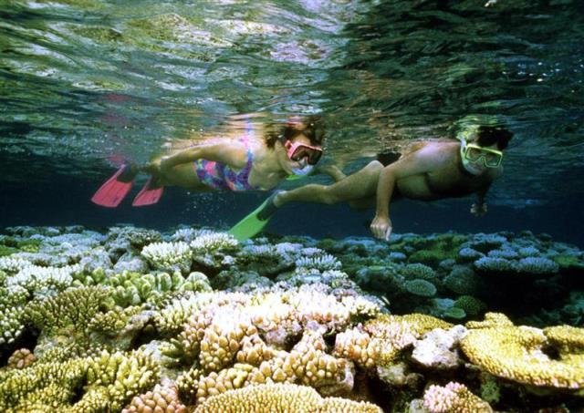 the great barrier reef photo reuters