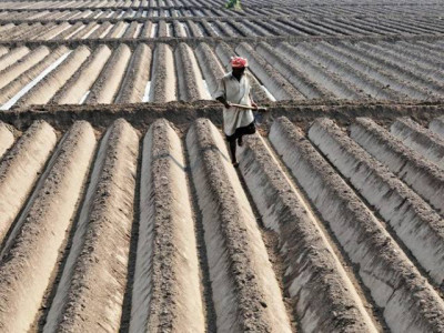 mismanagement land record officials warned of strict action mismanagement land record officials warned of strict action