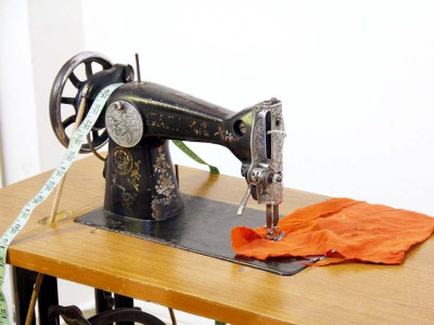 seeds of change 15 shining stars display their theises seeds of change 15 shining stars display their theises