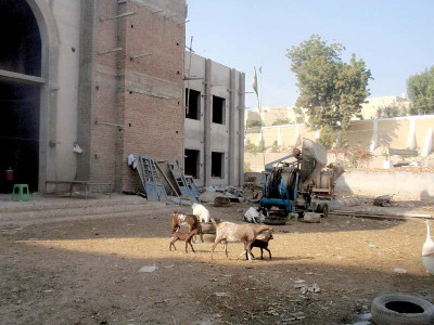 under construction cultural complex turned into animal stable under construction cultural complex turned into animal stable