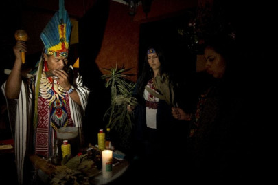 hallucinogenic plant ayahuasca gains foothold in us