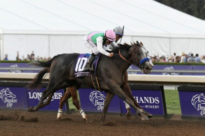 two horses die in deadly race course collision two horses die in deadly race course collision