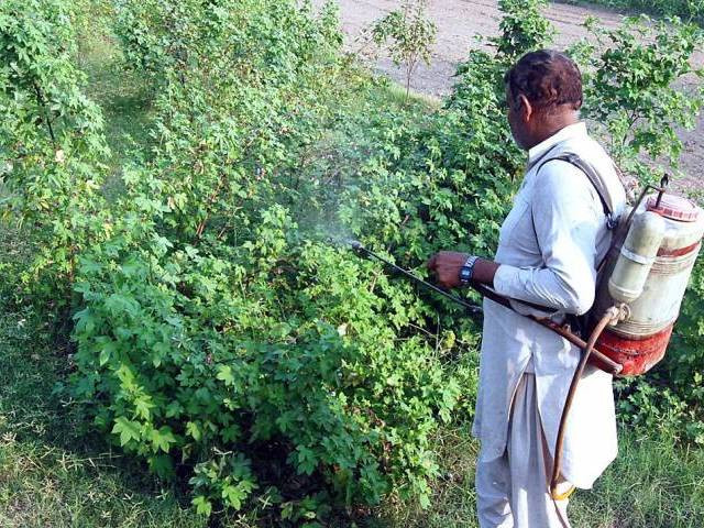 spurious fertilisers drive against dealers launched in sargodha spurious fertilisers drive against dealers launched in sargodha