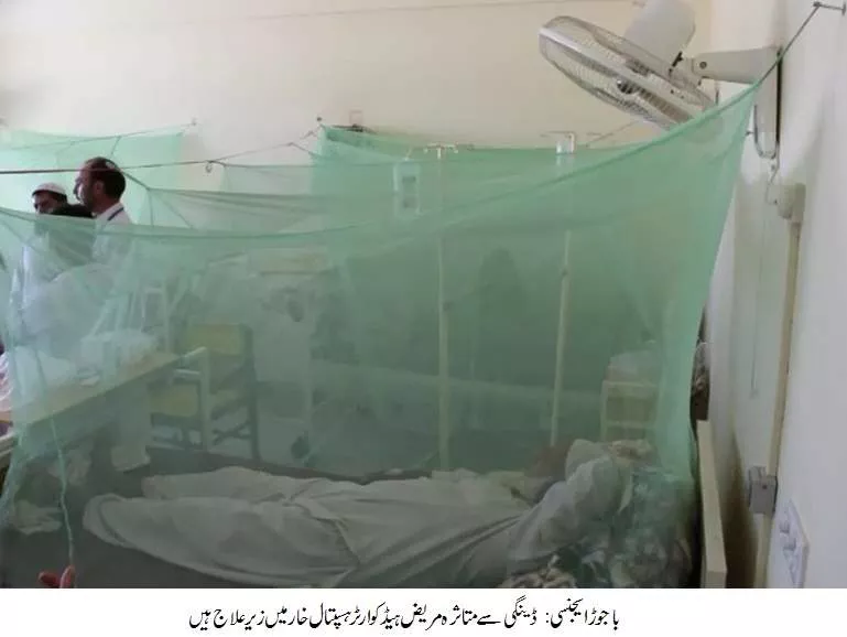 dengue returns with a vengeance dengue returns with a vengeance