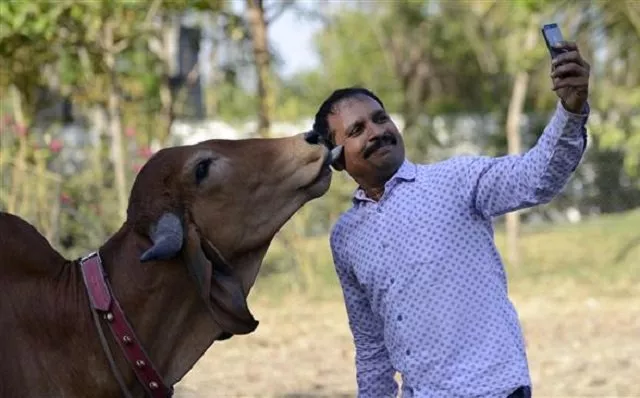 the administration has set aside a massive inr 148 crore for the task photo afp the administration has set aside a massive inr 148 crore for the task photo afp