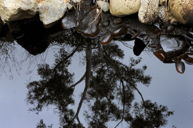 almost 300 tonnes of oil spilled into malaysian and singaporean waters after two container ships collided in a malaysian port photo afp almost 300 tonnes of oil spilled into malaysian and singaporean waters after two container ships collided in a malaysian port photo afp