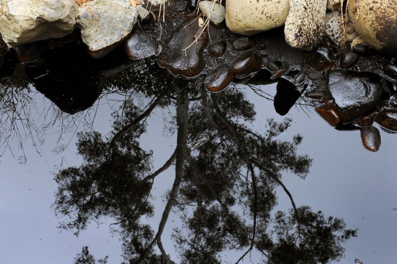 almost 300 tonnes of oil spilled into malaysian and singaporean waters after two container ships collided in a malaysian port photo afp