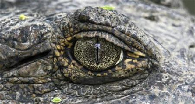 photo reuters photo reuters