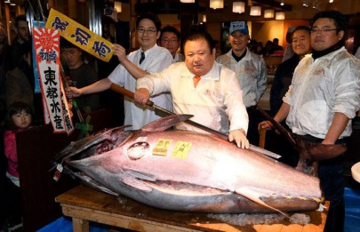 bluefin tuna snapped for 636 000 at japan auction