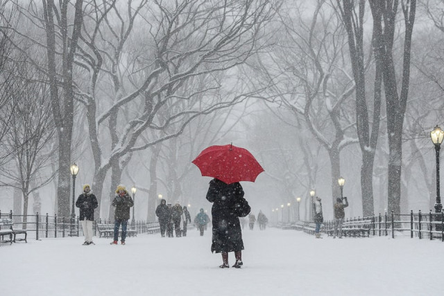 a woman walks through central park with a red umbrella during a snowstorm in new york city us photo reuters