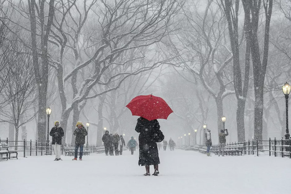 a woman walks through central park with a red umbrella during a snowstorm in new york city us photo reuters