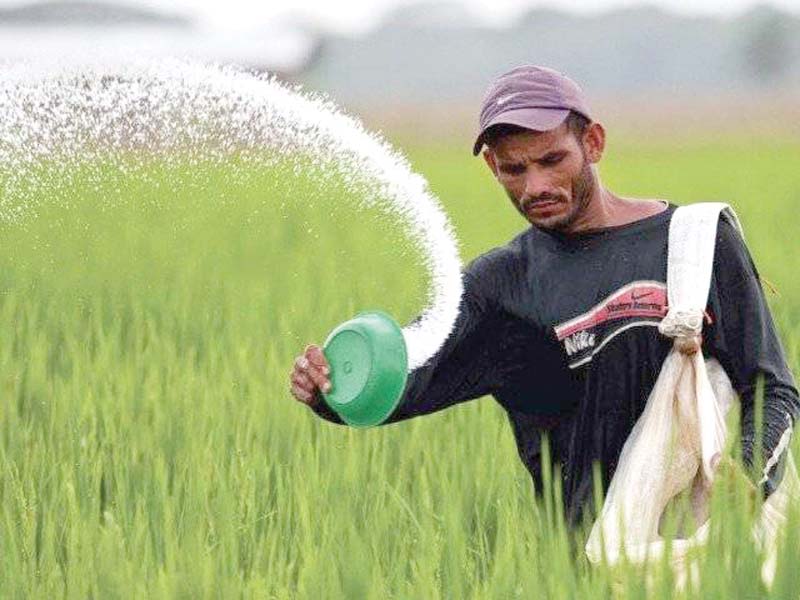 overall the government had announced a urea subsidy of rs390 per bag including cash subsidy of rs156 gst subsidy of rs184 and price reduction of rs50 by urea manufacturers photo file