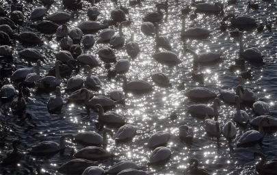 pictures of the day january 13 2017 pictures of the day january 13 2017