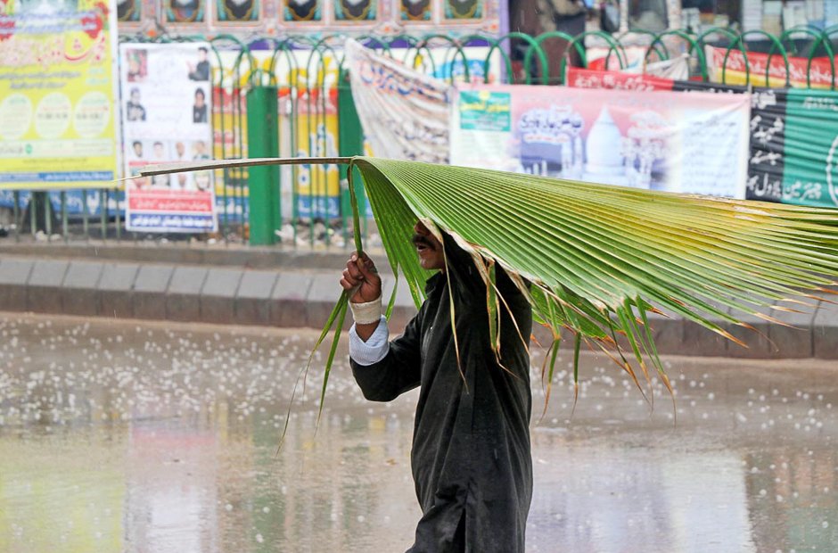 a man takes shelter under a plant 039 s leaf as rain continues in the city photo online sabir mazhar