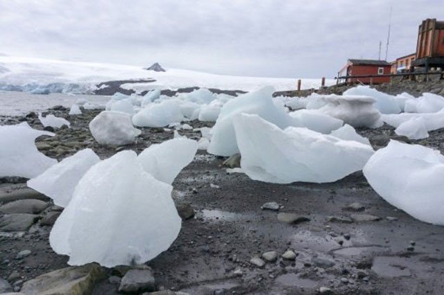 climate change shows in shrinking antarctic snows