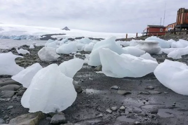 climate change shows in shrinking antarctic snows photo afp climate change shows in shrinking antarctic snows photo afp
