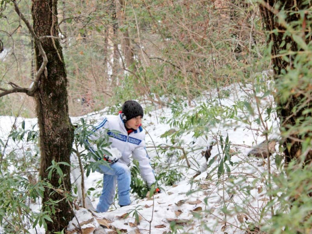 a boy walks in snow in murree photo muhammad javed express a boy walks in snow in murree photo muhammad javed express