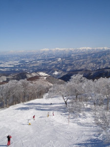 lost australian family found safe on japan ski mountain lost australian family found safe on japan ski mountain