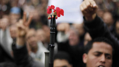 us military wants to create bullets that turn into plants and flowers