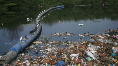 verifying claims judicial commission inspects water supply drainage disposal stations verifying claims judicial commission inspects water supply drainage disposal stations