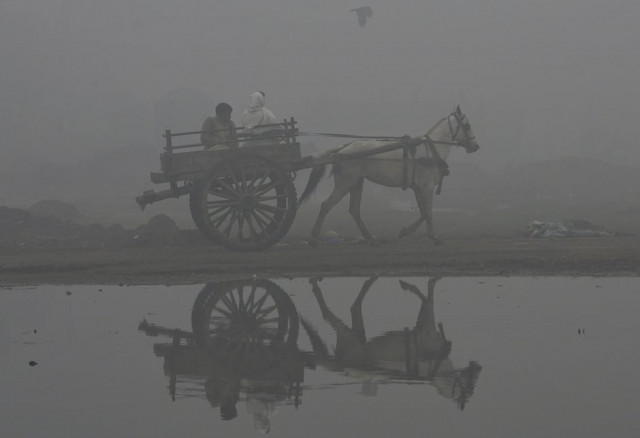 horse drawn carriages near extinction affecting craftsmen horse drawn carriages near extinction affecting craftsmen