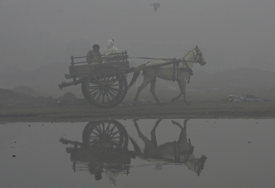 pakistani men ride on a horse cart during heavy fog in lahore photo afp