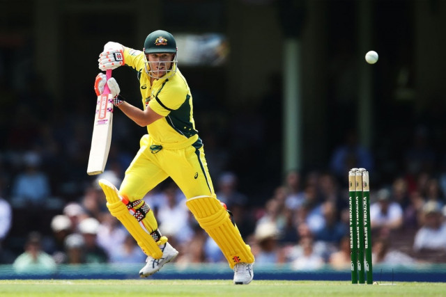 quot rest will be good for warner quot says interim national selector trevor hohns photo courtesy twitter cricketaus quot rest will be good for warner quot says interim national selector trevor hohns photo courtesy twitter cricketaus