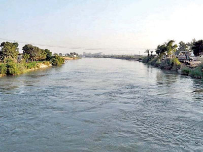 cda approves palm cultivation on coast cda approves palm cultivation on coast