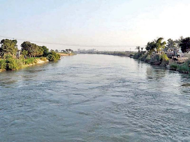 cda approves palm cultivation on coast cda approves palm cultivation on coast