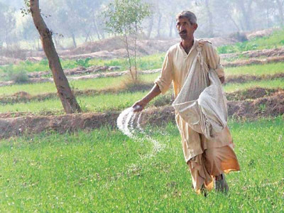 clearing glut ecc allows 0 3m tons of urea export after heavy imports
