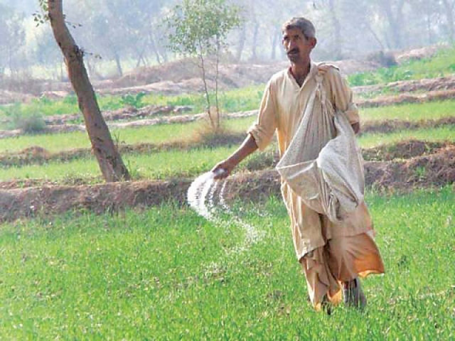 in august last year the ecc constituted a committee to ascertain why miscalculation was made to allow urea import as nfml had to bear a cost of rs3 5 million per month and pay handling charges of rs21 per bag photo file in august last year the ecc constituted a committee to ascertain why miscalculation was made to allow urea import as nfml had to bear a cost of rs3 5 million per month and pay handling charges of rs21 per bag photo file