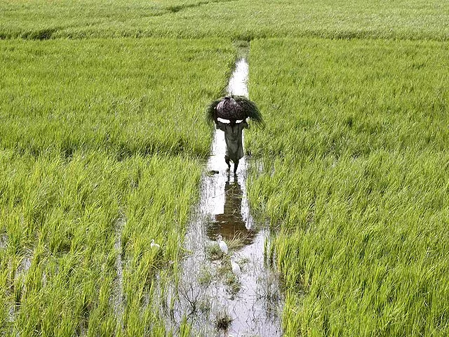 quot the colonial architects also paint the landscape as a wasteland to argue that only modern irrigation can save the landscape quot university of texas at austin phd candidate mubbashir rizvi photo file reuters quot the colonial architects also paint the landscape as a wasteland to argue that only modern irrigation can save the landscape quot university of texas at austin phd candidate mubbashir rizvi photo file reuters