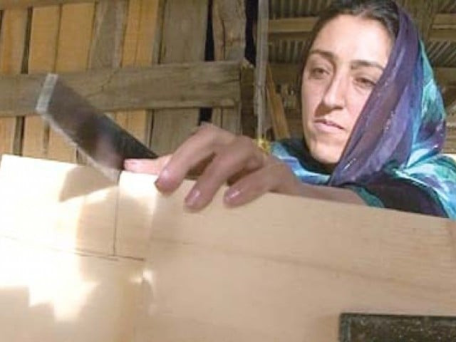 session discusses women s inclusion in pakistan s trade policy session discusses women s inclusion in pakistan s trade policy