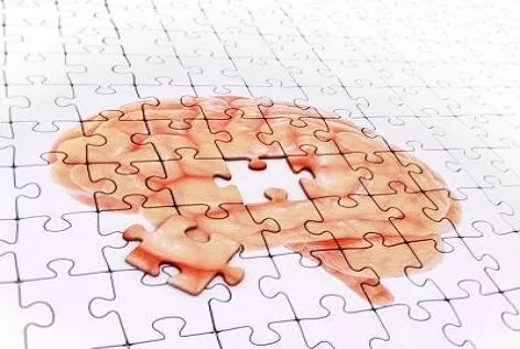 researchers are cautious because mouse models of alzheimer 039 s are not exactly the same as the disease that affects humans photo afp researchers are cautious because mouse models of alzheimer 039 s are not exactly the same as the disease that affects humans photo afp