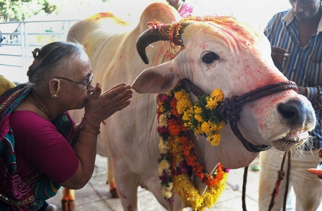 cows are revered in the hindu scriptures as the 039 mother 039 of civilisation and many worshippers equate the slaughter of cows or eating beef as blasphemy photo afp