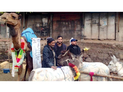 armed with three donkeys and a camel ajk activist demands basic services