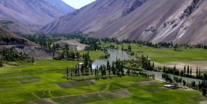 wildfire in ajk destroys entire market wildfire in ajk destroys entire market