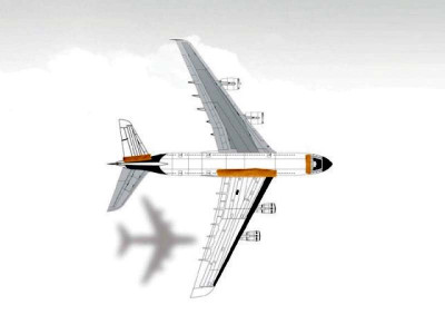 pia pilots body divided over privatisation pia pilots body divided over privatisation