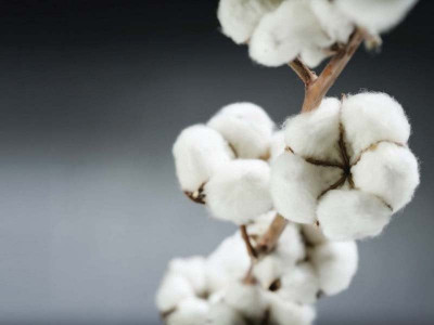 consultation process started to boost output consultation process started to boost output